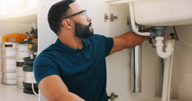 Best Plumbing System Maintenance  in Perryville, AR